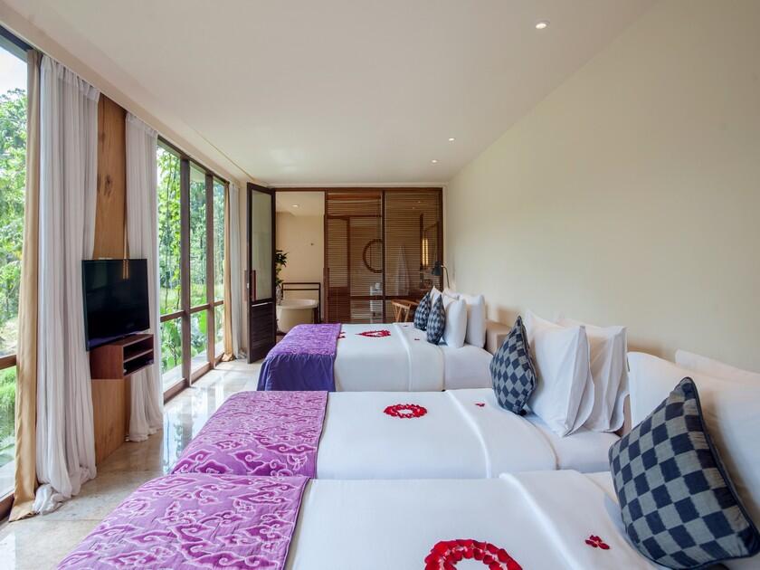 ファミリー スイート